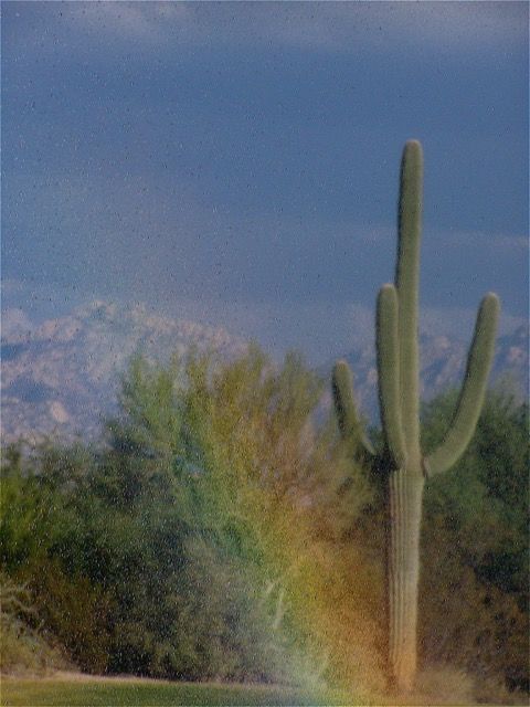 Old Pueblo Shutterbugs